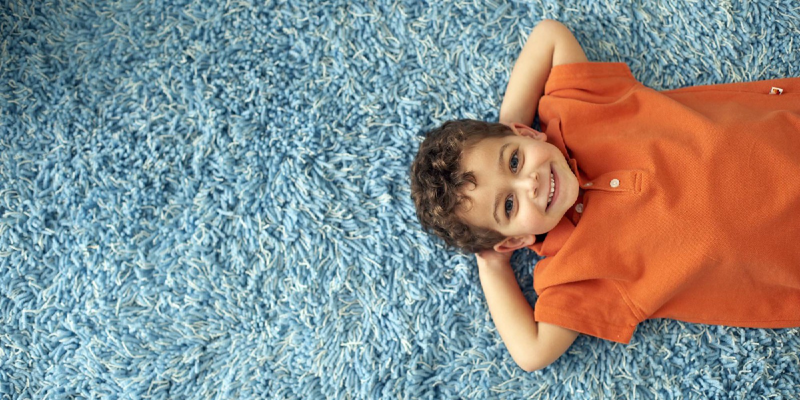 Carpet Cleaning and Maintenance